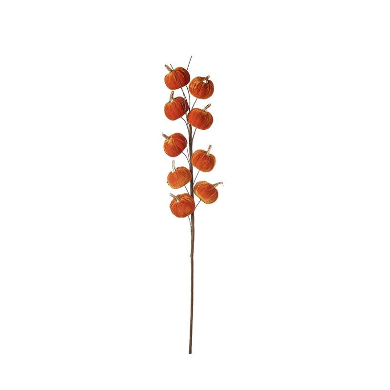 Pumpkin Stem