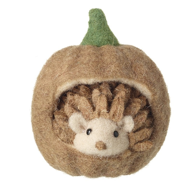 Hedgehog in Pumpkin