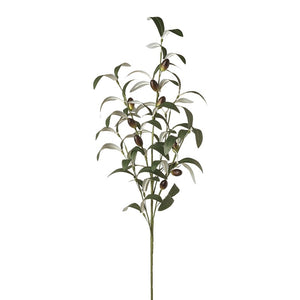 Olive Branch