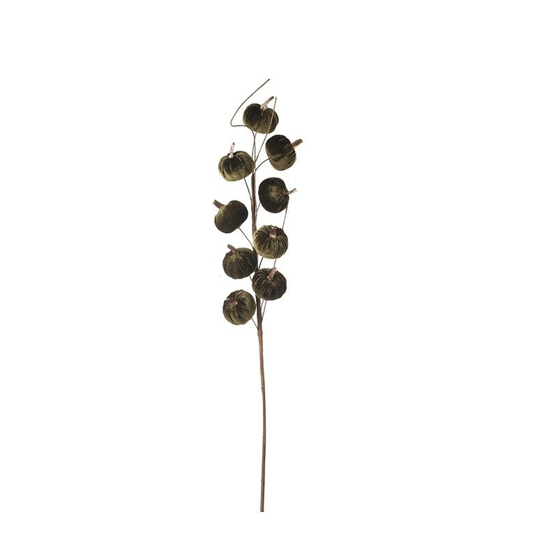 Dark Green Velvet Pumpkin Stem